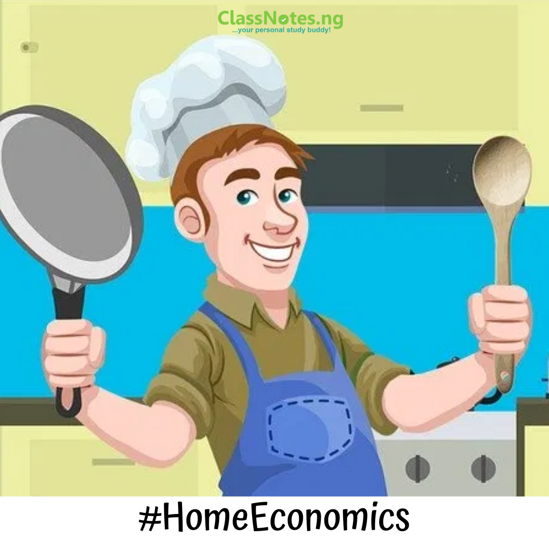 Home Economics Primary 5