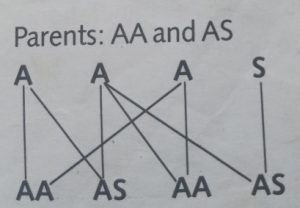 AA ABS AS
