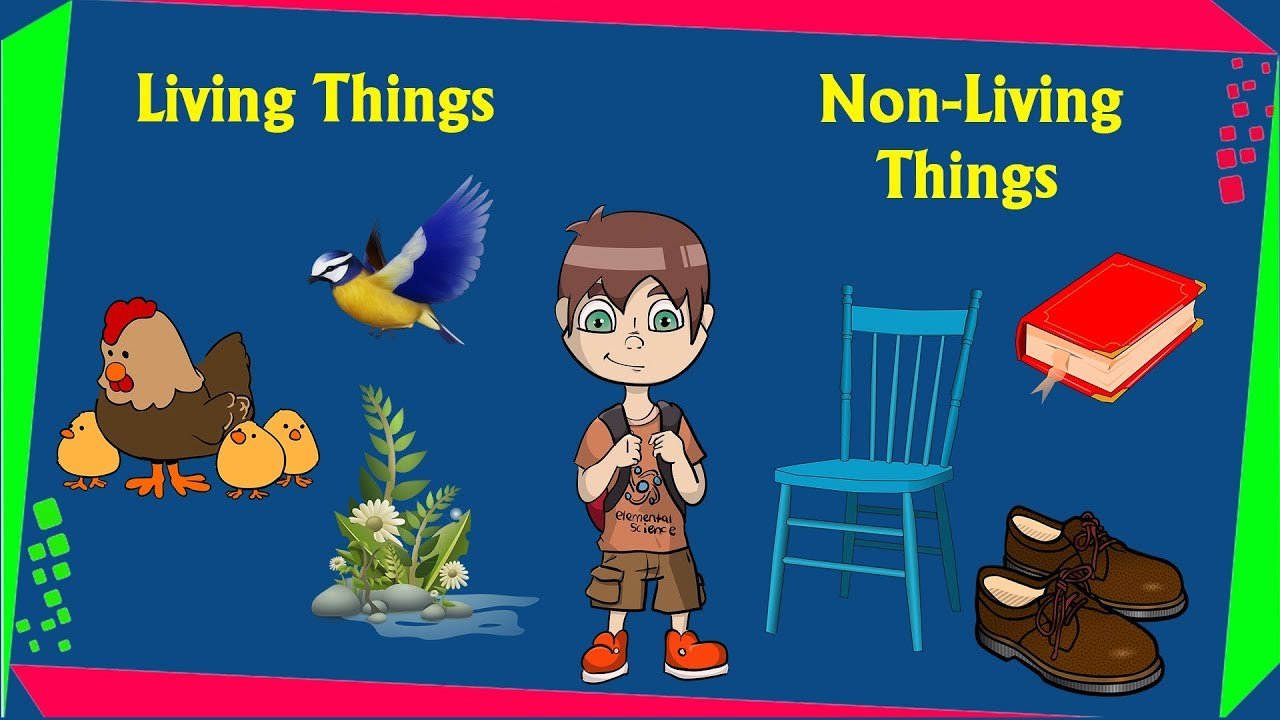 Living Things And Non Living Things Animation Classnotes.ng  