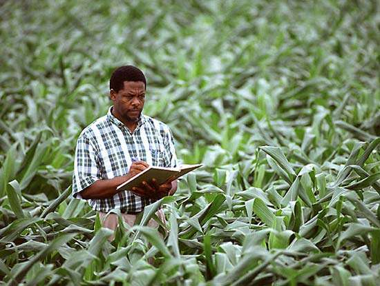 Meaning and Importance of Agriculture 2 classnotes.ng