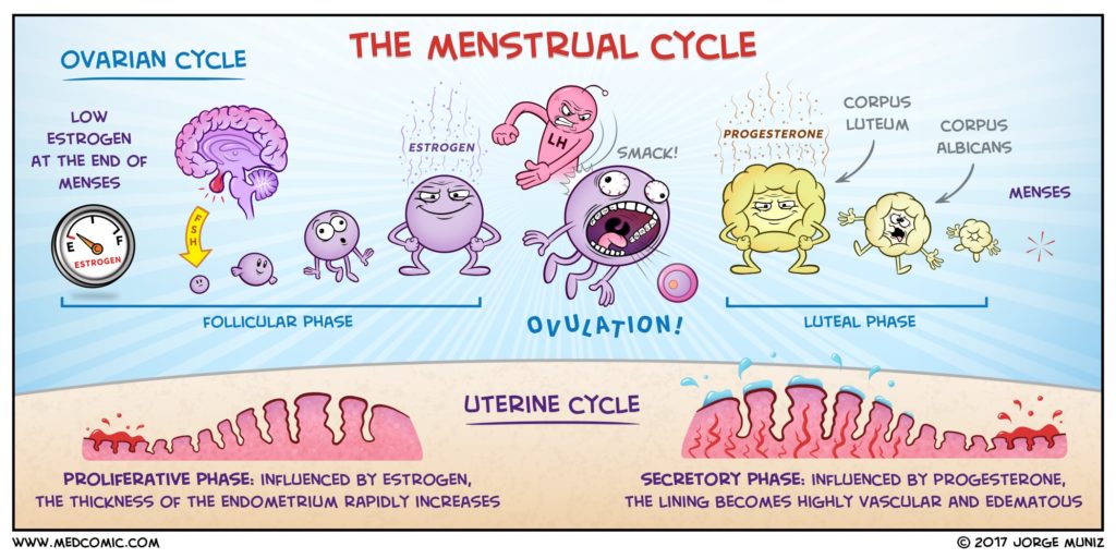 human reproduction classnotes.ng