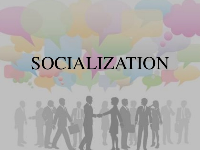 Socialization classnotes.ng