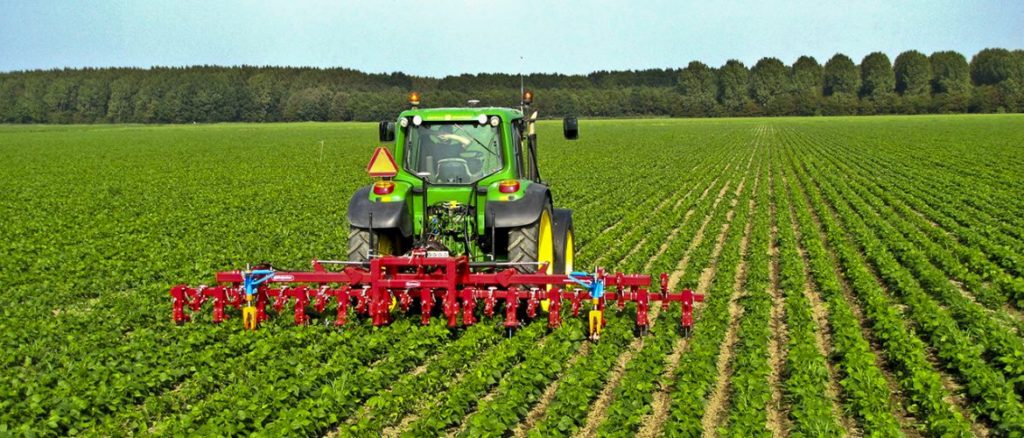 branches of agriculture