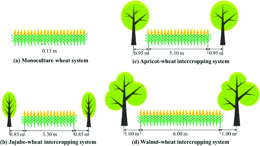 cropping systems agricultural practices classnotesng