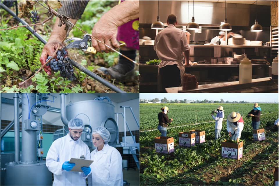 different agricultural jobs agricultural science classnotesng