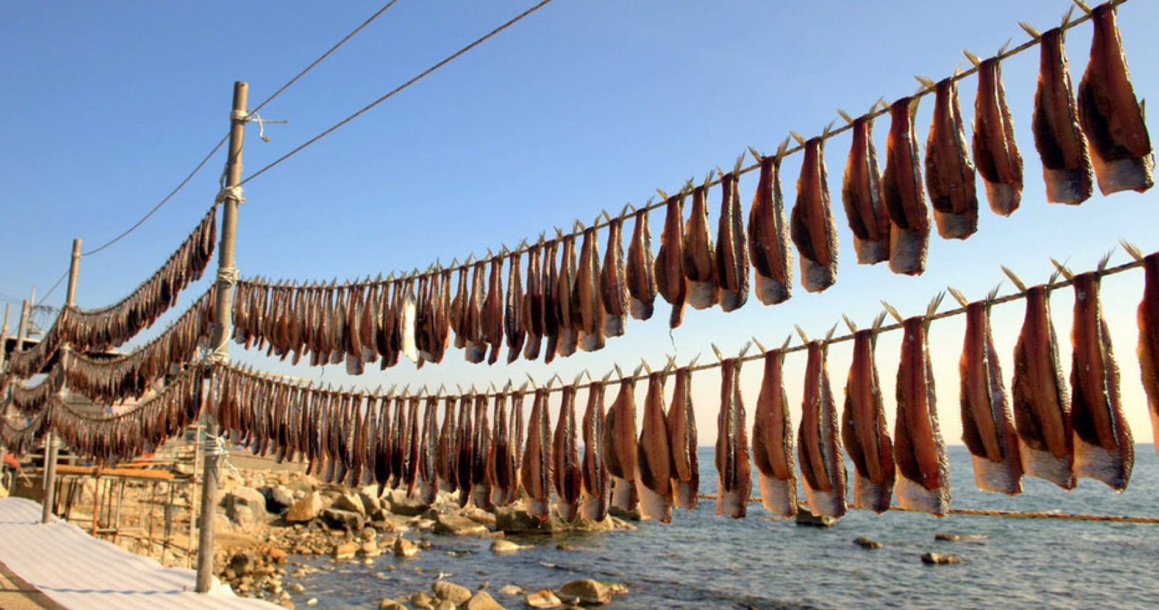 drying fish food preservation classnotesng