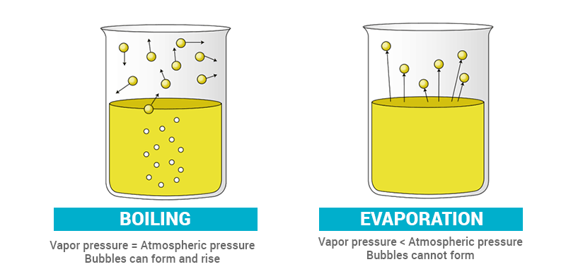 evaporation vs boiling basic science classnotesng