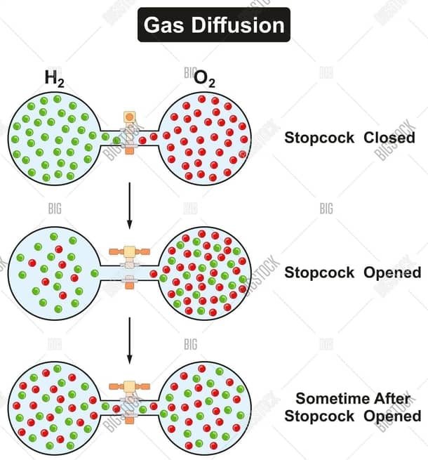 gas diffusion kinetic theory basic science classnotesng