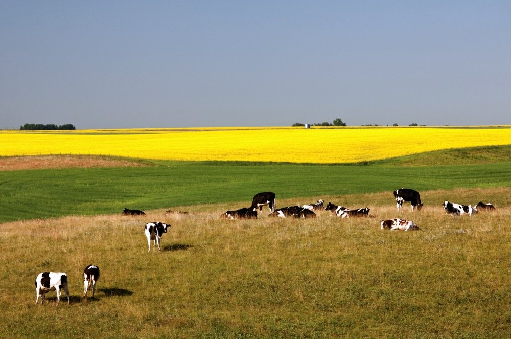 mixed farming agricultural science classnotesng