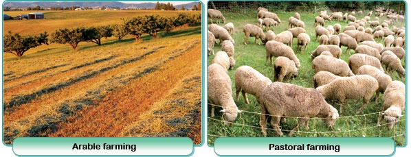 pastoral farming arable farming agricultural practices classnotesng