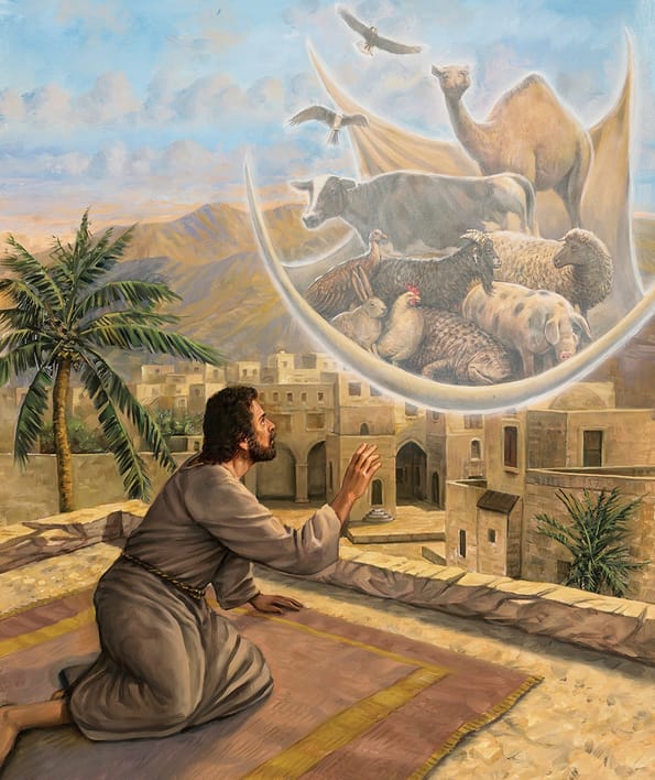 peter vision crs classnotesng