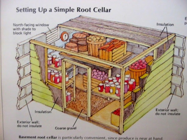 root cellar food preservation classnotesng