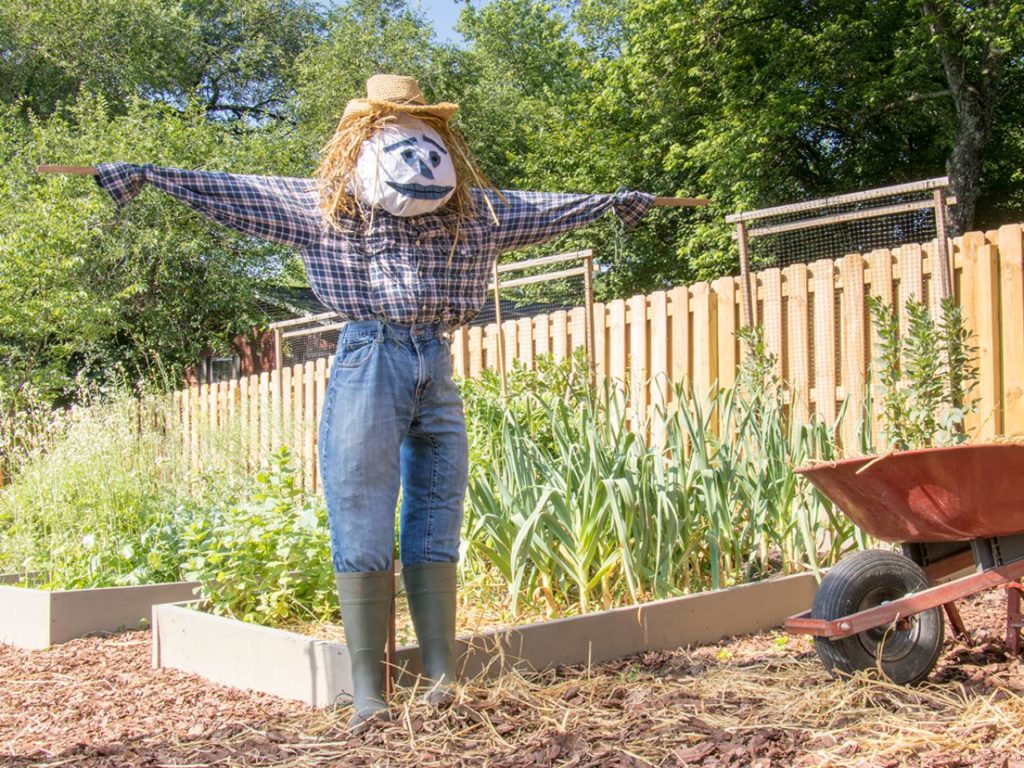 Method of Weed and Pest Control