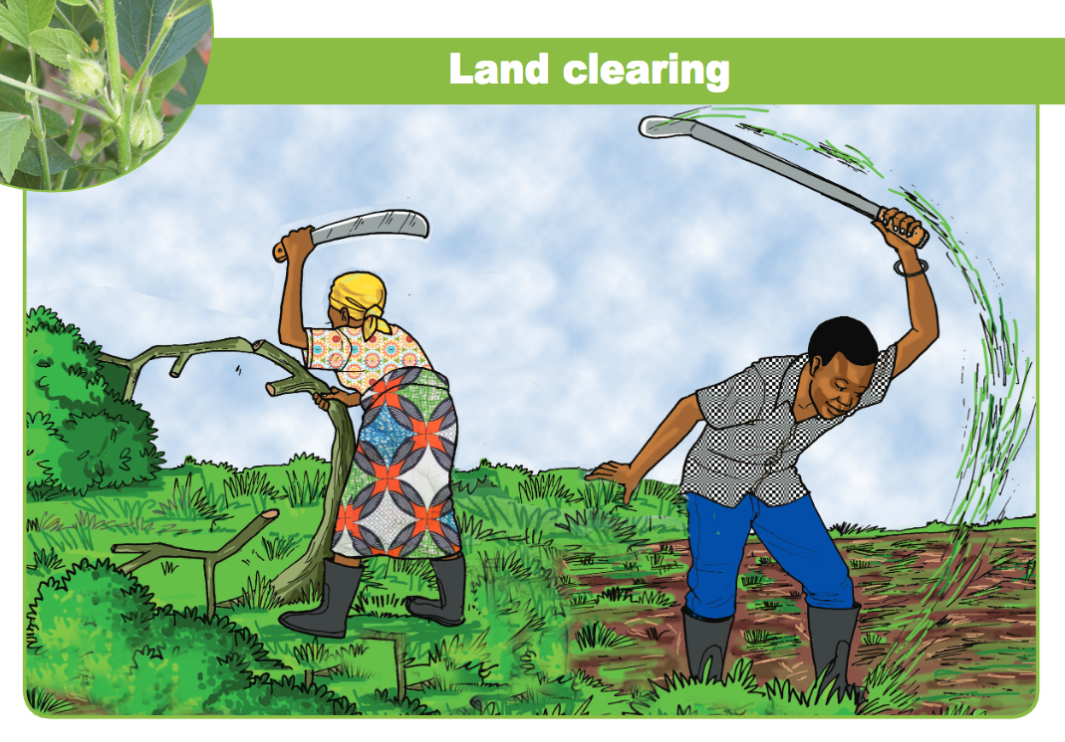 site clearing preplanting operations classnotes.ng