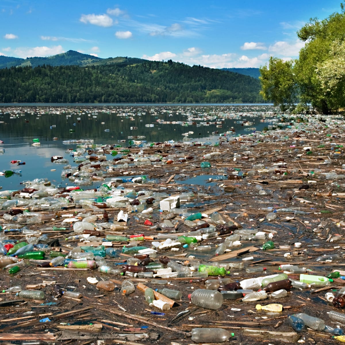 Environmental Pollution classnotes.ng