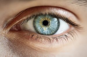 the eye