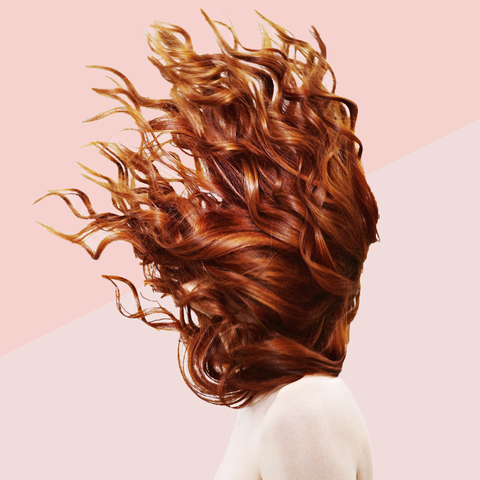 The Hair classnotes.ng