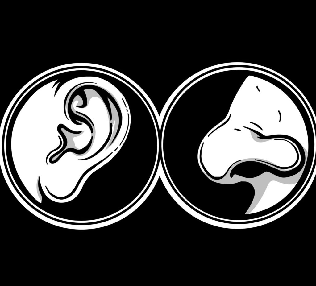 The Nose and The Ear classnotes.ng