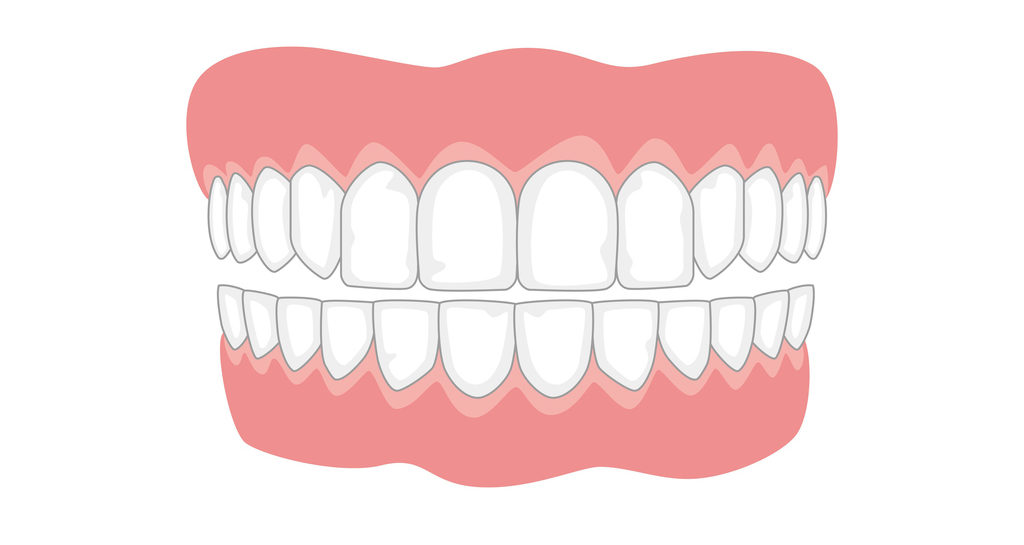 The Teeth ClassNotes ng