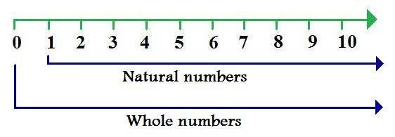 Whole Numbers Counting and Writing - ClassNotes.ng