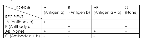 Antigen antibody