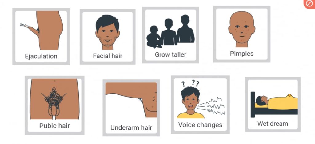 Changes-in-boys-during puberty home econs classnotesng