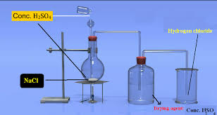 Chlorine and other Halogens Chemistry SS2
