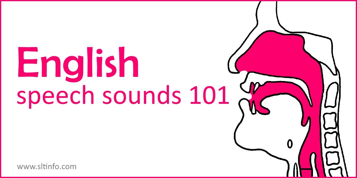 Speech Work Consonant Sounds ClassNotes.ng