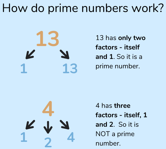 How-do-prime-numbers-work maths classnotesng