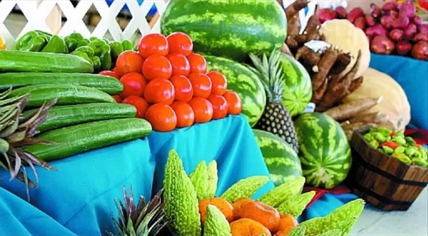 Introduction to Agriculture classntes.ng