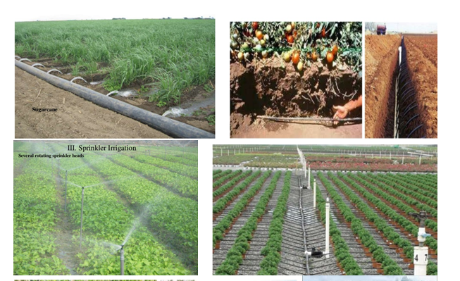 Irrigation farmland 2