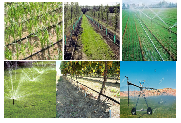 Irrigation farmland 3