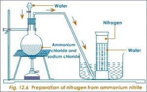 Nitrogen Chemistry SS2