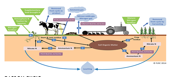 Nitrogen circle