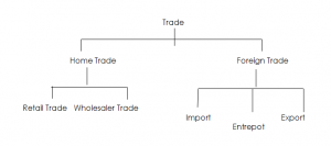 Retail Trade Commerce SS1