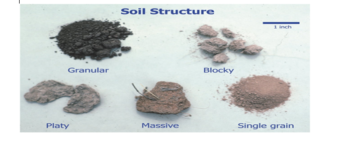 Soil Structure