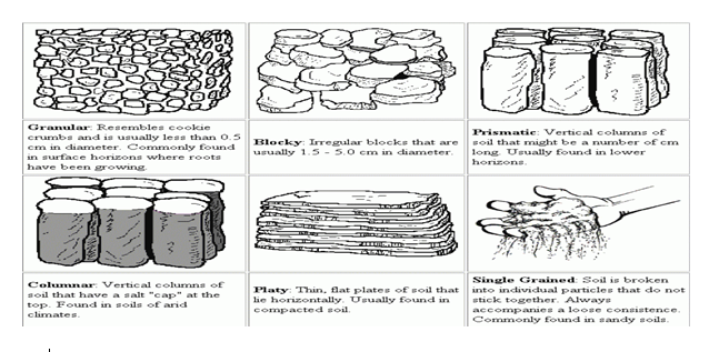 Soil structure 2