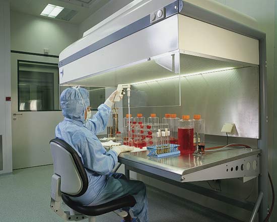 The Concept of Culturing classnotes.ng