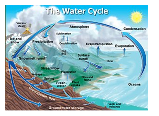 Water Cycle