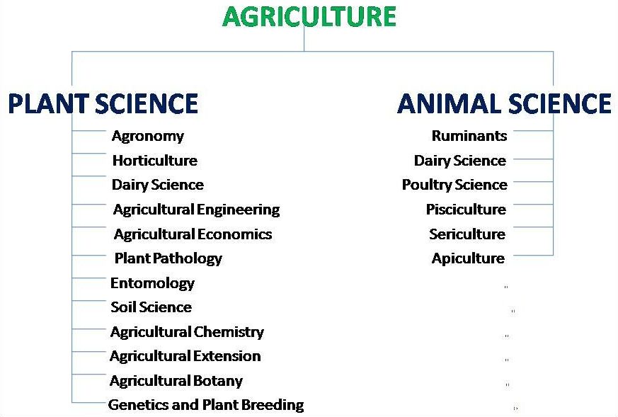 Introduction to Agriculture classntes.ng