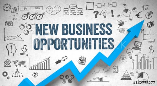 business opportunities business studies classnotesng