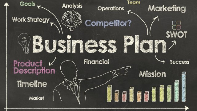 diagram of simple single business plan