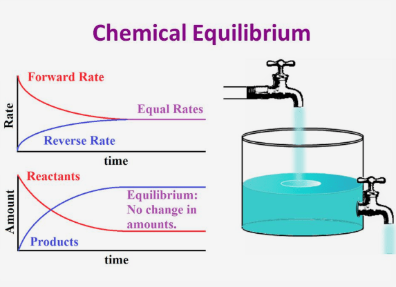 What Is The Chemical Equilibrium In Physics