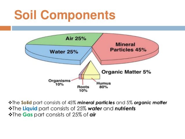 Environmental Conservation - ClassNotes.ng