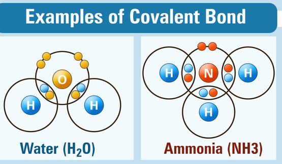 covalent bonds chemistry classnotesng