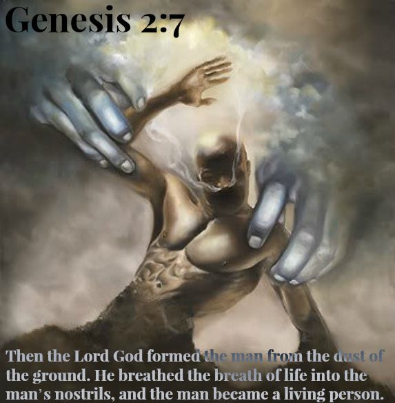 creation of man sovereignty of god christian studies classnotesng