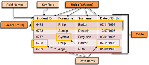 database-record-and-field csc classnotesng