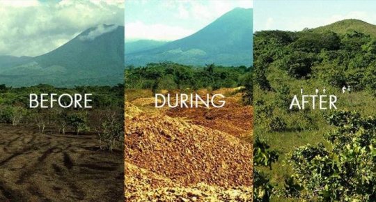 forest regeneration agric classnotesng