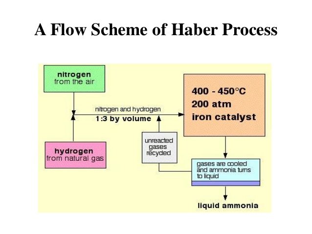 haber process chemistry classnotesng