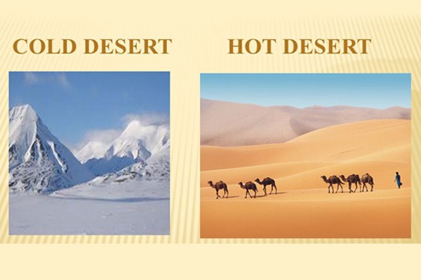 hot and cold desert habitat biology